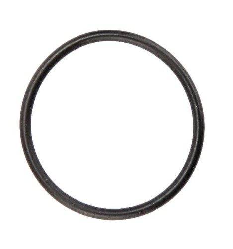 Pierścień uszczelniający o-ring 42x3 Rau RG00018765 - Intertraktor