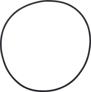 O-ring CI143837