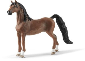 Koń amerykańskiej rasy Saddlebred 13913SCH