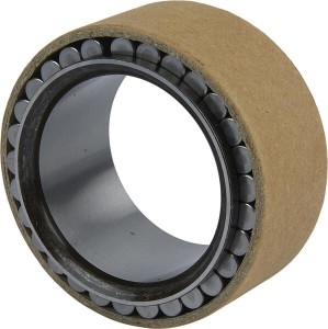Bearing CI830883