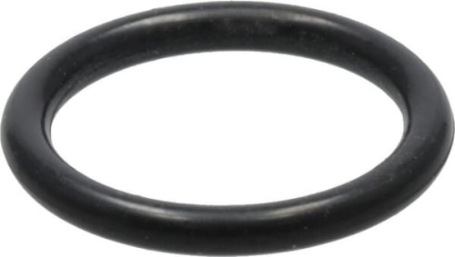 Pierścień 195868M1 - Intertraktor