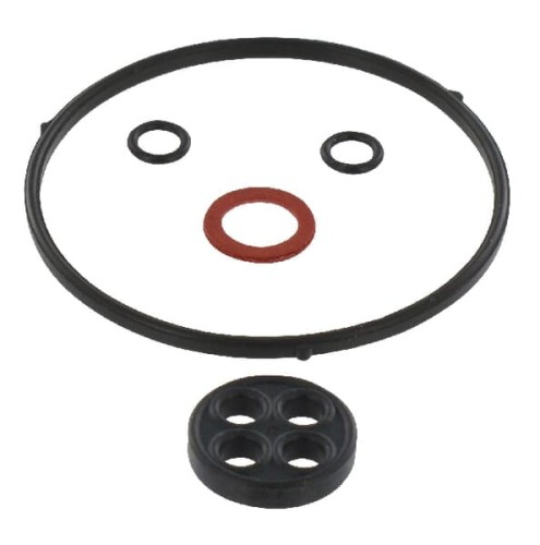 Zestaw uszczelniający 16010ZM7003 - Intertraktor