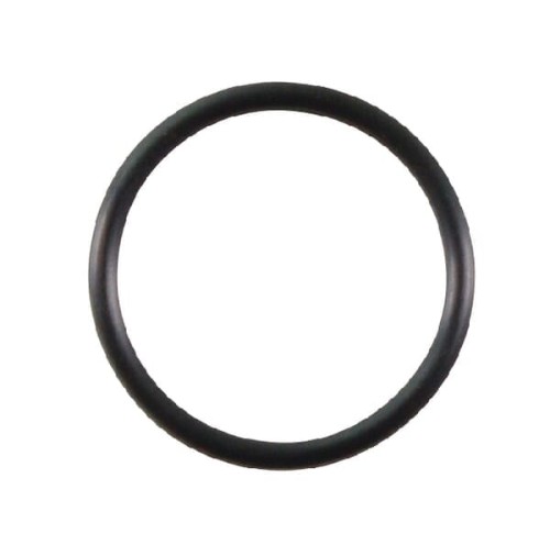 Pierścień uszczelniający o-ring 691870 - Intertraktor