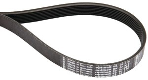 Pas wielorowkowy 8 PJ, 711 mm 8PJ711