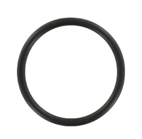 Pierścień uszczelniający o-ring R77551 - Intertraktor