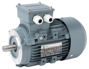 Silnik elektryczny paszociągu, 0,75 kW 015602