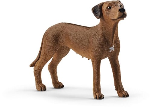 Pies Rhodesian Ridgeback 13895SCH - Intertraktor