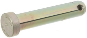 Sworzeń F20100139R
