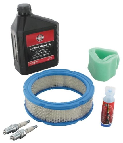 Silnik Care B&S 992240 - Intertraktor