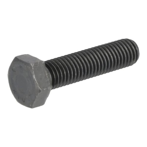 Śruba z łbem sześciokątnym 01137391 - Intertraktor