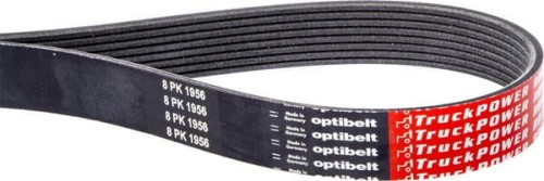 Pas wielorowkowy Optibelt, 8PK1956 8PK1956 - Intertraktor