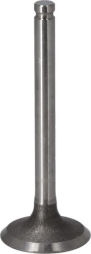 Zawór ssący 120047001 - Intertraktor