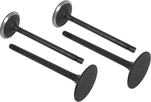 Zawór ssący VPA1590 - Intertraktor