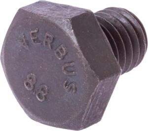 Śruba z łbem 6-kt. 80061012