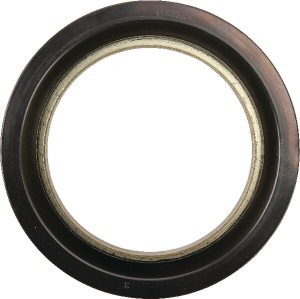 Uszczelniacz oleju 4305912M1