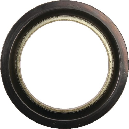Uszczelniacz oleju 4305912M1 - Intertraktor