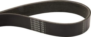 Pasek klinowy F743200040010