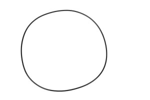 O-ring, 274 x 2 mm CI028579