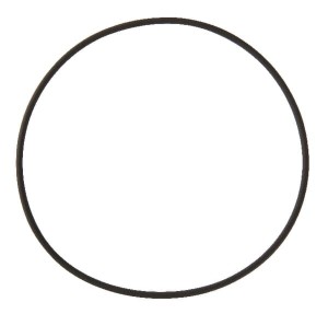 Pierścień uszczelniający o-ring 101.3x2.6 Rau RG00058723