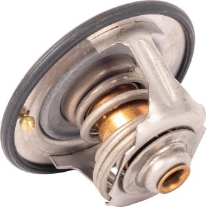 Termostat 4215604M2