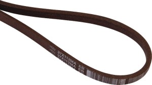 Pasek klinowy 37X112