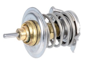Termostat 04198786