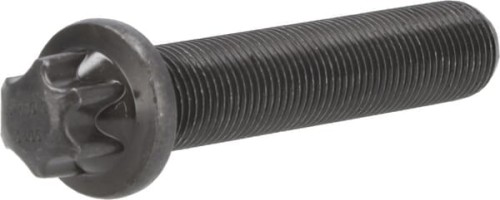 Wkręt z łbem torx 04253406 - Intertraktor