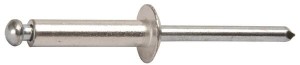 Nit zrywalny A2 / A2 4.8x18 mm  BN4818RVS