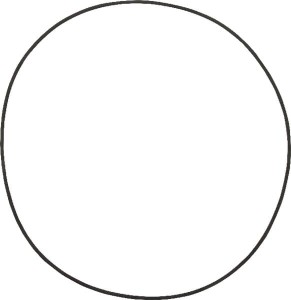 Pierścień uszczelniający o-ring 001051037