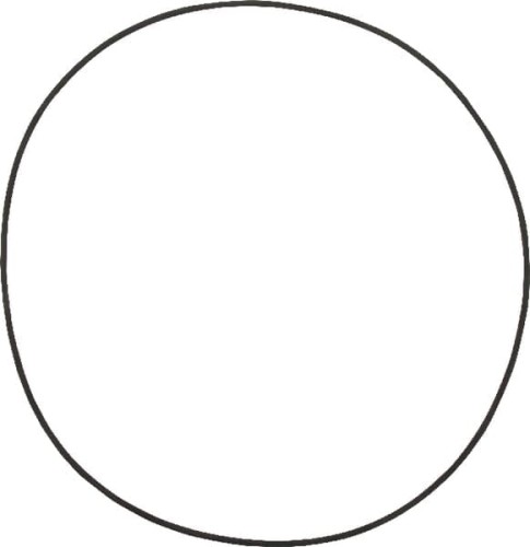 Pierścień uszczelniający o-ring 001051037 - Intertraktor