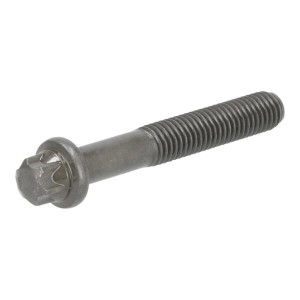 Wkręt z łbem torx 04291334