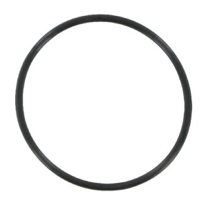 Pierścień uszczelniający o-ring CH17154