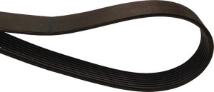 Pas wielorowkowy R503726AB