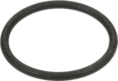 Pierścień uszczelniający o-ring, 29,82 x 2,62 F03010480R - Intertraktor