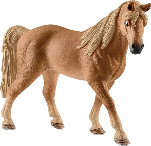 Klacz Tennessee Walker 13833SCH - Intertraktor