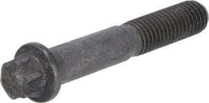 Wkręt z łbem torx 01181757