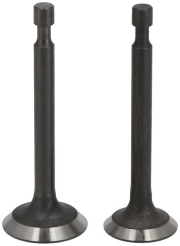 Zawór kpl. 5005500340001 - Intertraktor
