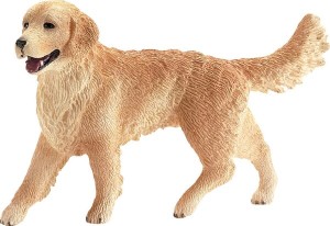 Golden Retriever, suczka 16395SCH
