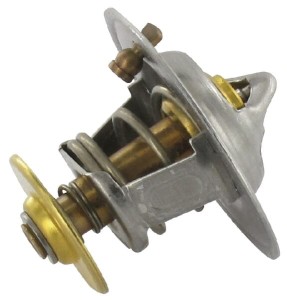 Termostat 504038890