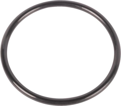 Pierścień uszczelniający o-ring 0481650450 - Intertraktor