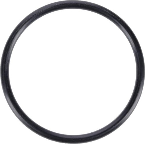 Pierścień uszczelniający o-ring 001053758N - Intertraktor