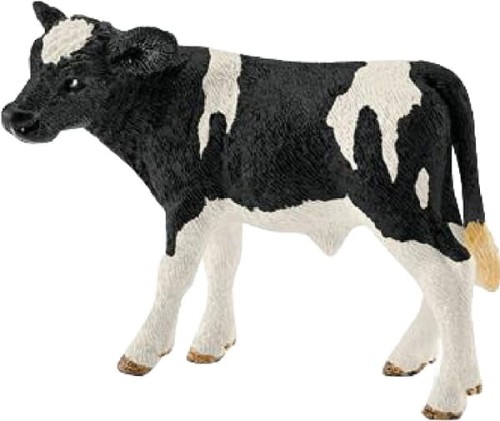 Cielę Holstein 13798SCH - Intertraktor