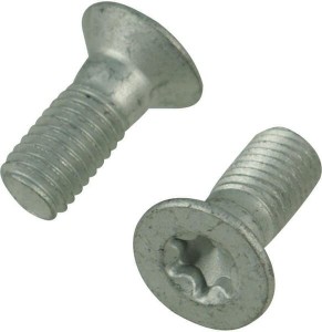 Śruba Torx M10x25 84913
