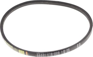Pas klinowy (Lb-36) 22431V15003