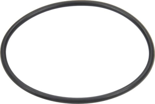 Uszczelka 58.42x2.62mm Viton brązowy Arag 462200040 - Intertraktor