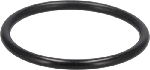 Pierścień uszczelniający o-ring 3147943R1 - Intertraktor