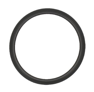 Uszczelka termostatu R521548