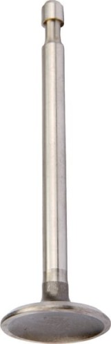 Zawór ssący 590393 - Intertraktor