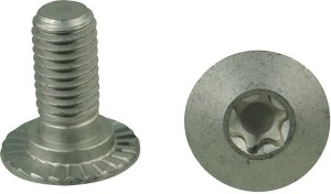 Śruba Torx M10x23 10,9 84925