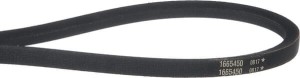 Pasek 1665450SM